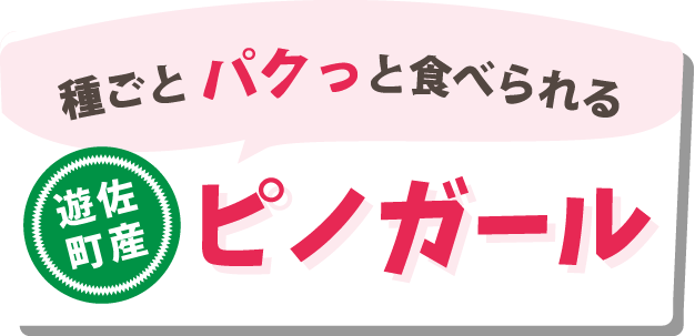 遊佐町産ピノガール