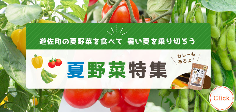 暑い夏を乗り切ろう！遊佐町の夏野菜特集