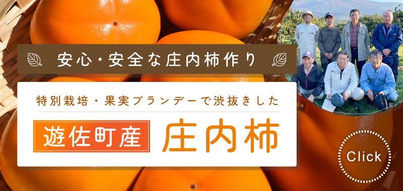 ブランデー脱渋！遊佐町産特別栽培庄内柿