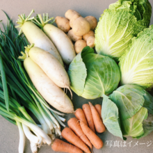 遊佐野菜カレー鍋セット(野菜＋カレールゥ＋遊佐のみなもと)④