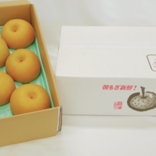 刈屋の梨 南水 5kg(3L玉以上10～16玉入)①