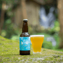 遊佐FAN！CRAFT 湧(わく) 330ml 3本入④
