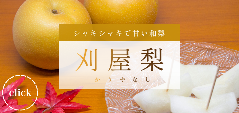 シャキシャキで甘い和梨　刈屋梨