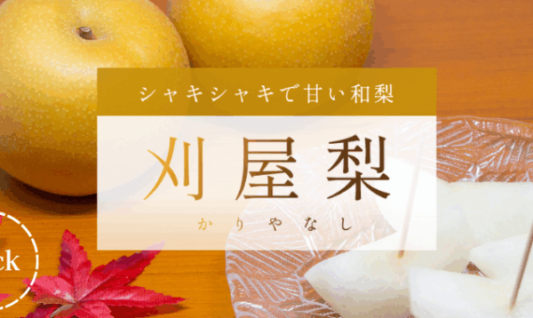シャキシャキで甘い和梨　刈屋梨