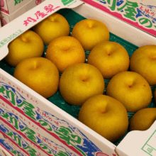 刈屋の梨 南水 5kg(3L玉以上10～16玉入)③