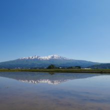 遊佐のみなもと 500ml 24本入④
