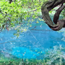 遊佐のみなもと 500ml 24本入⑤