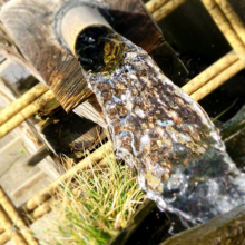 遊佐のみなもと 500ml 24本入⑥